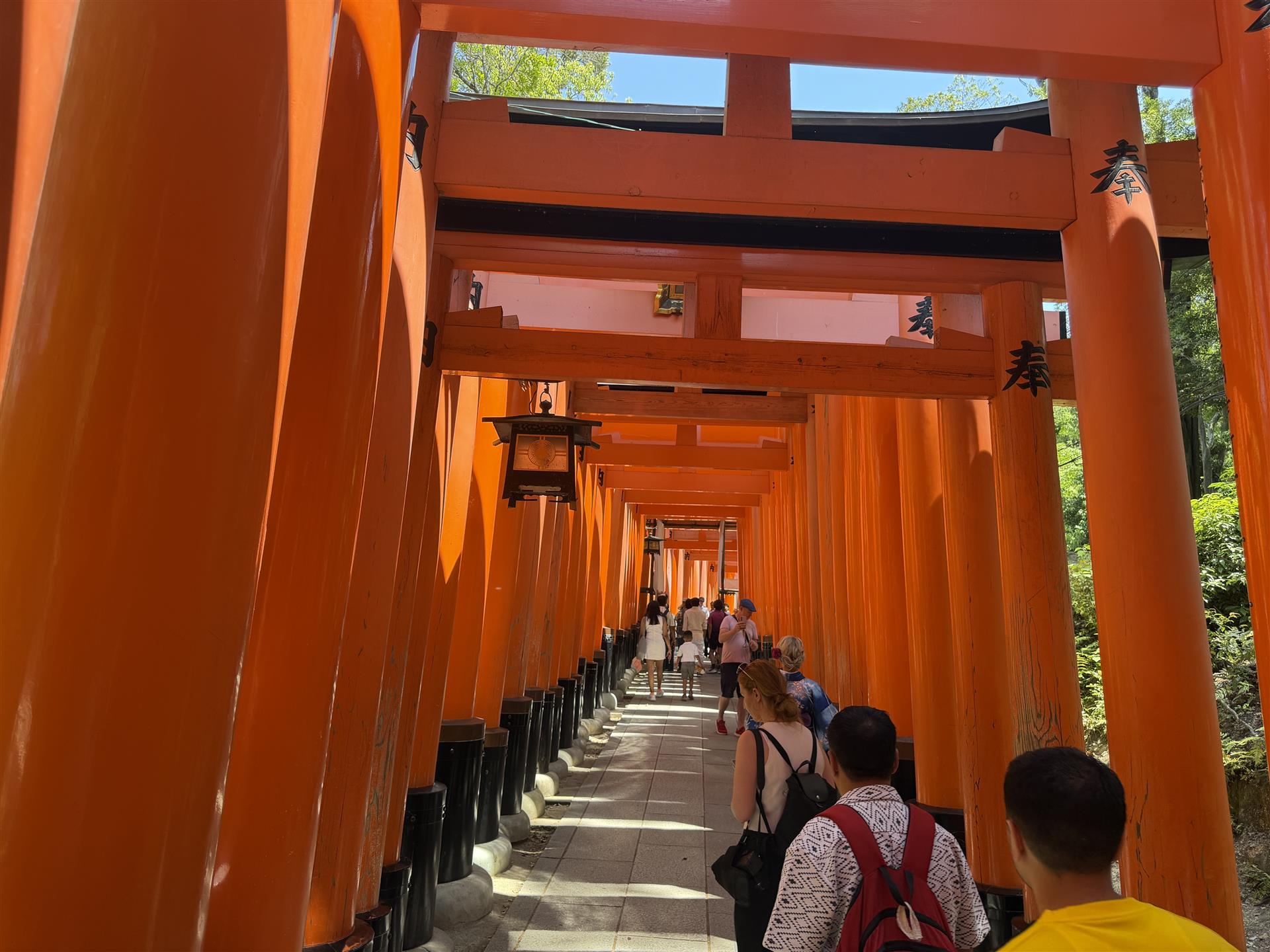 Mount Inari torie gates