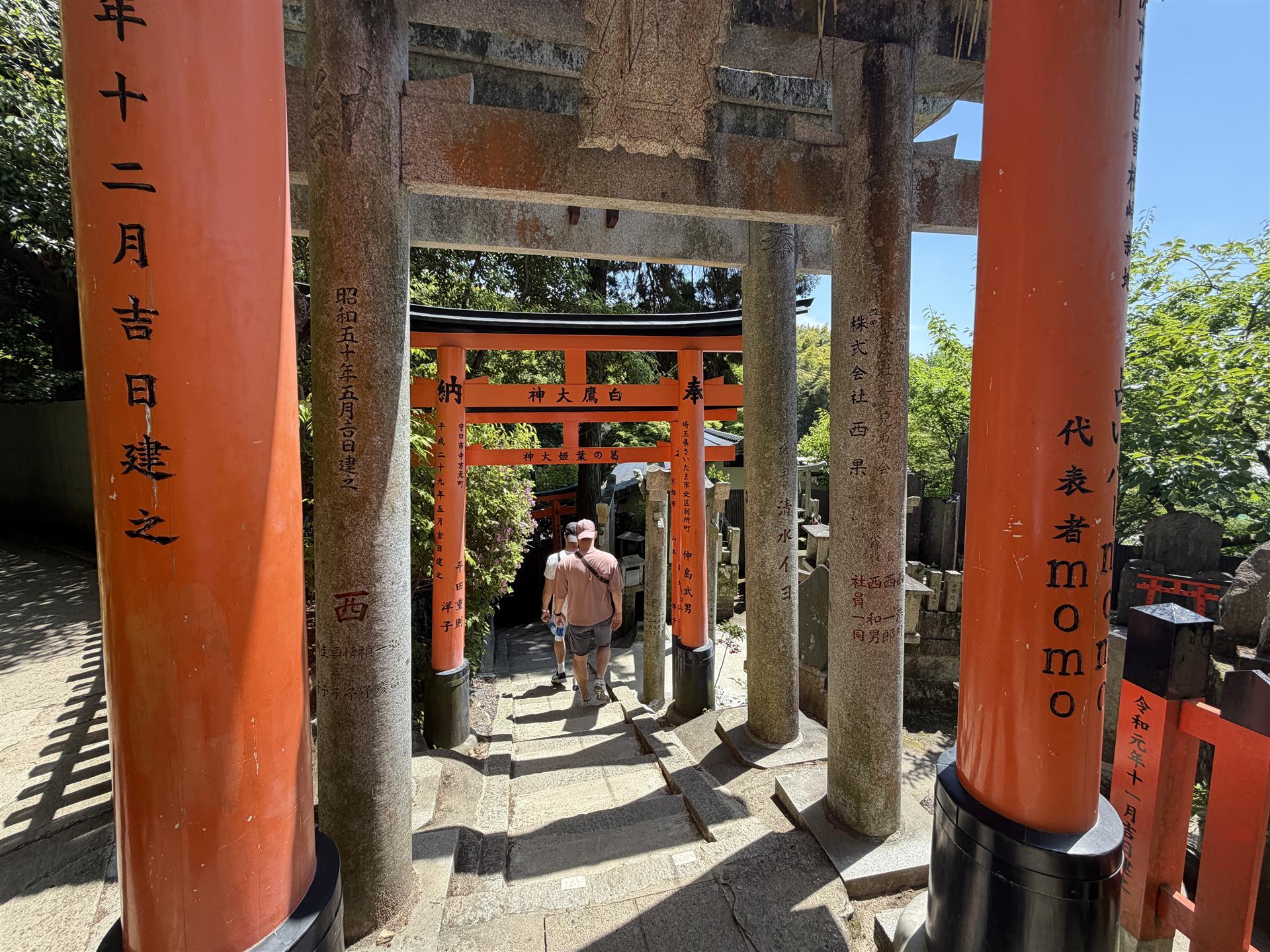 Mount Inari torie gates