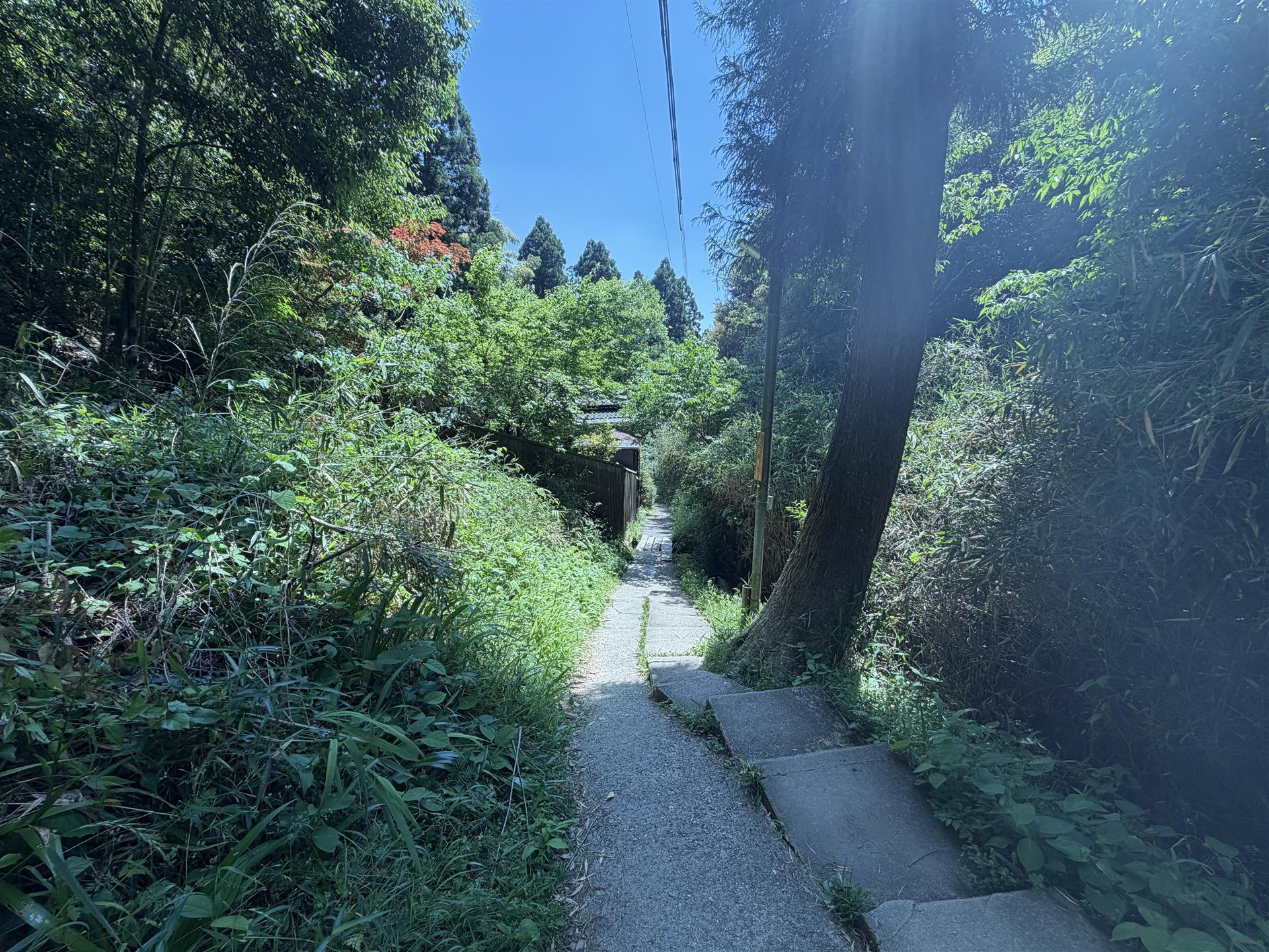 Path leading to Mount Inari