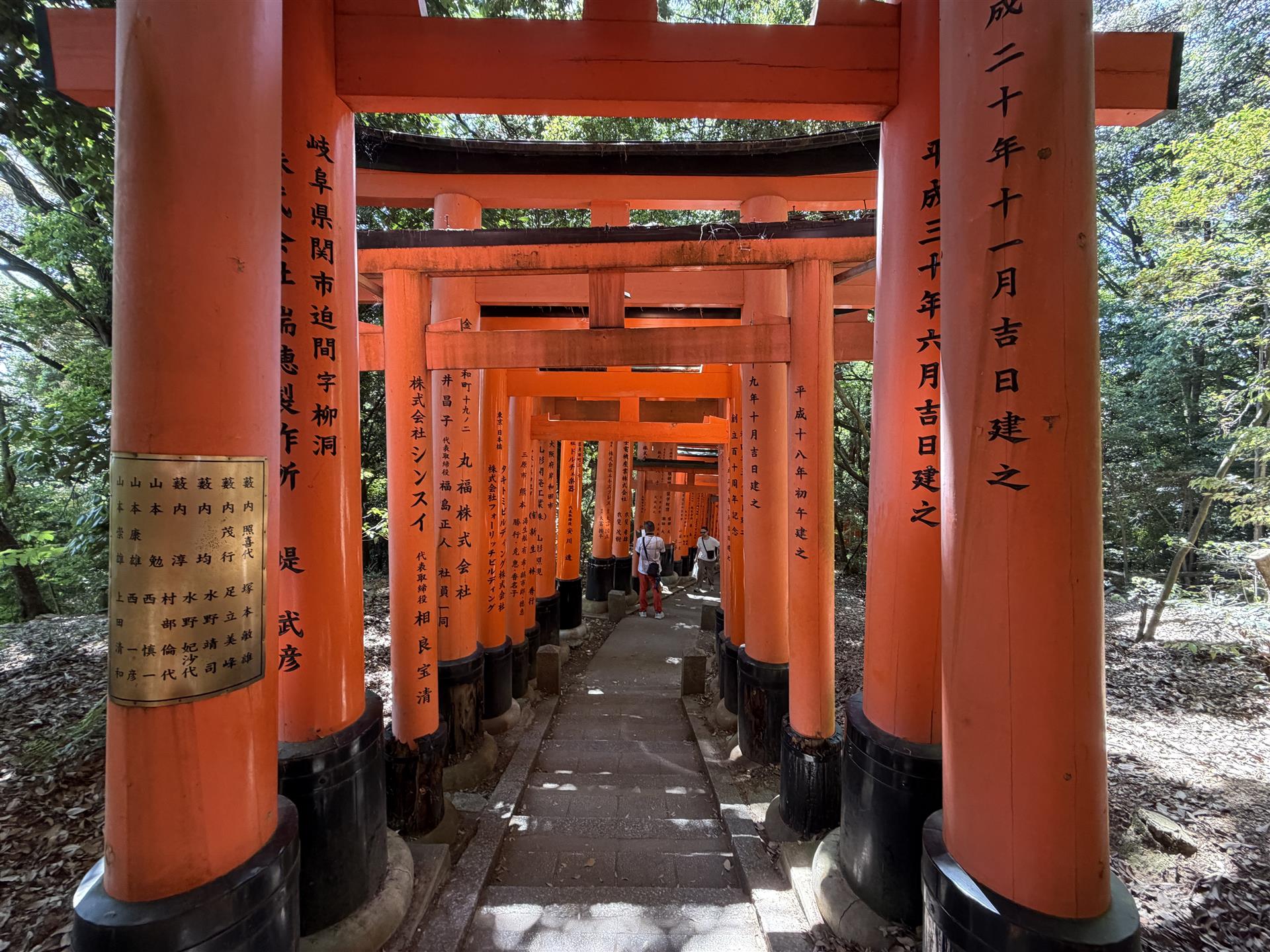 Mount Inari torie gates