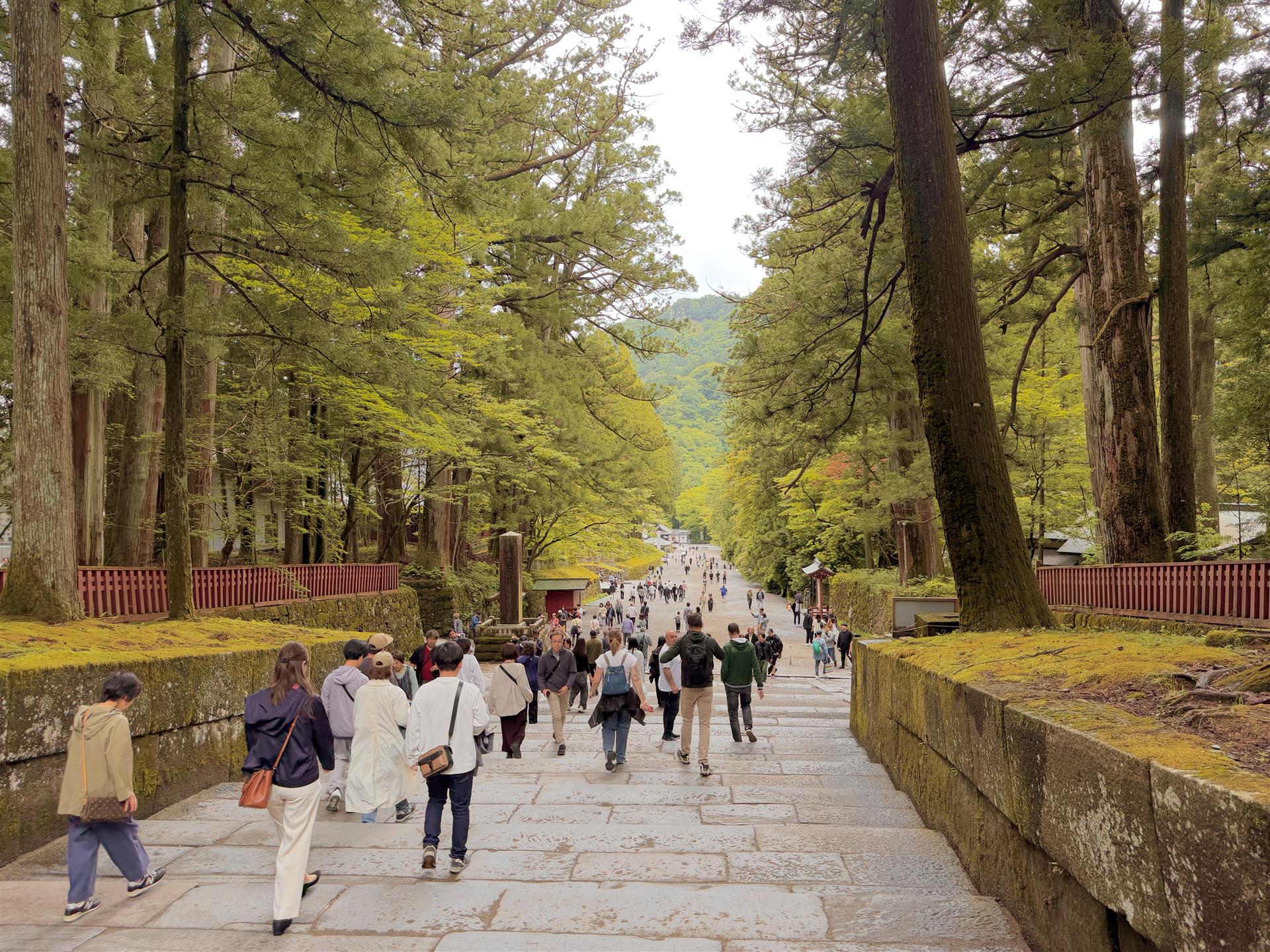 Shrine path in Nikko national park